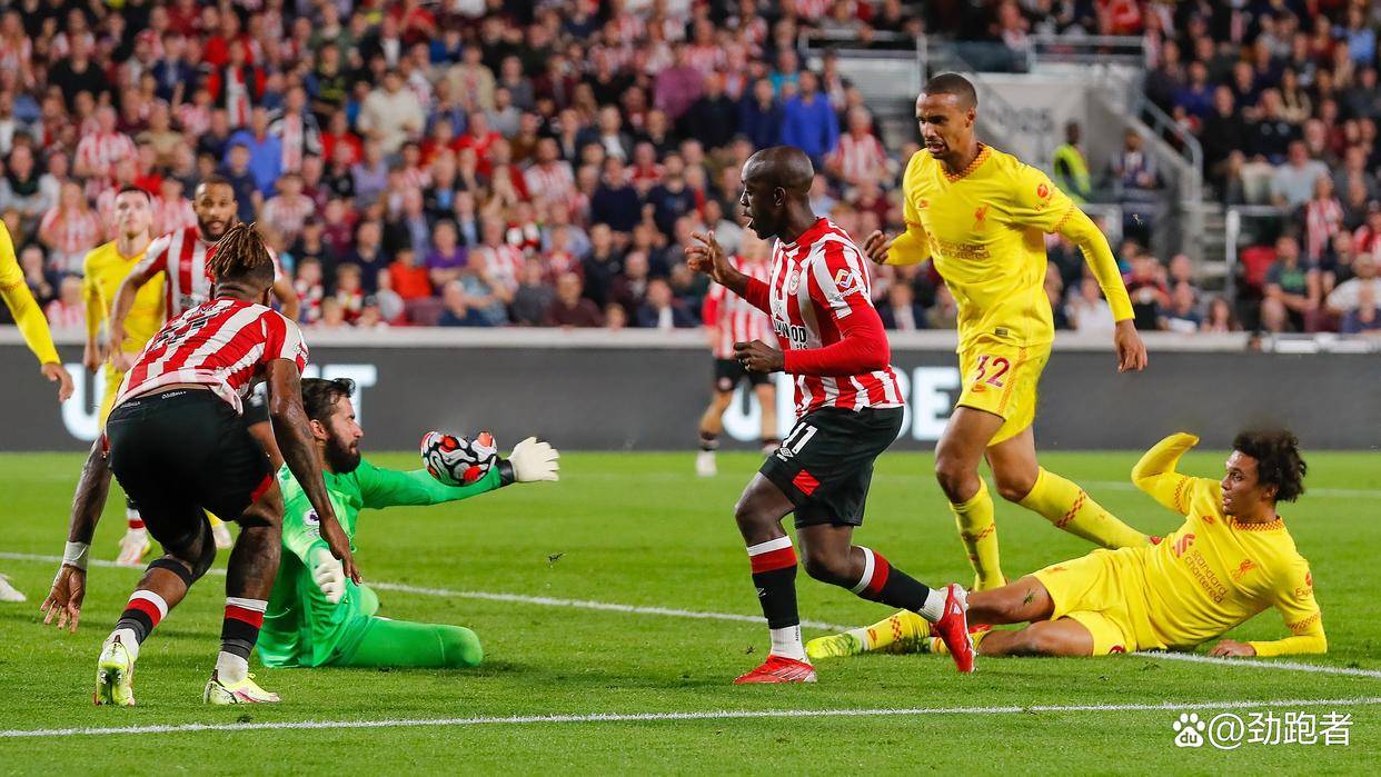 成都蓉城青岛海牛直播 成都蓉城青岛海牛直播