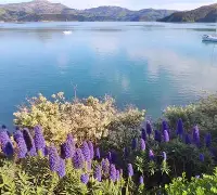 瓦朗谢纳客场不敌图卢兹,遭遇挑战了吗